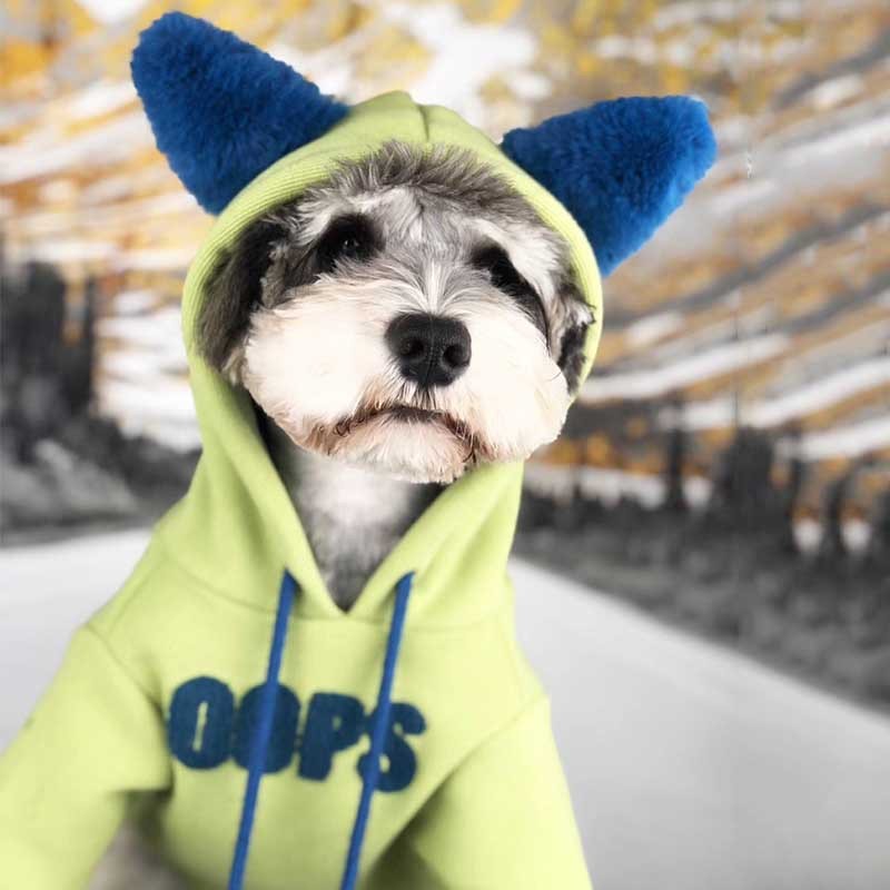 VIP Cat Plus Velvet Pet Sweater: Elevate Your Cat's Style